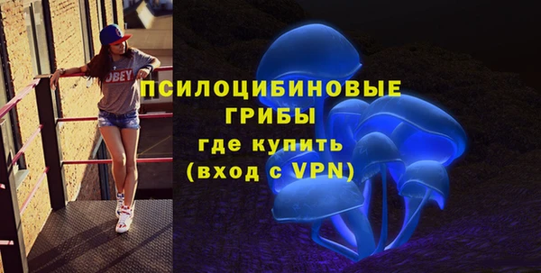 прущие грибы Краснослободск