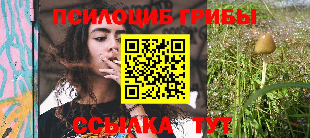 сколько стоит  Галлюциногенные грибы прущие грибы  Вход с VPN  Звенигород 