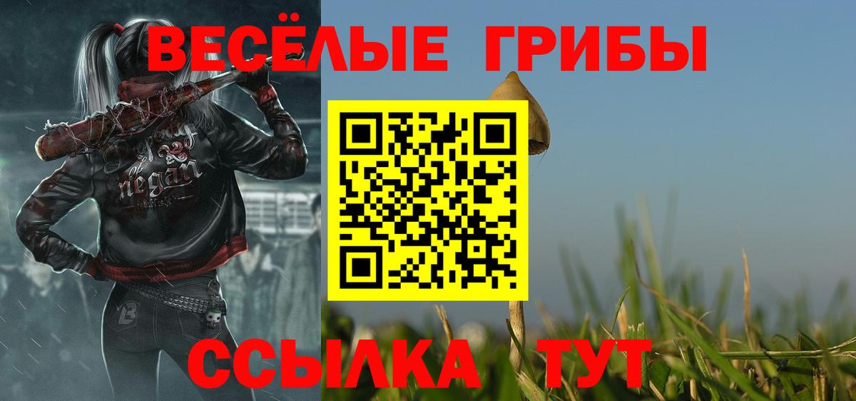 Галлюциногенные грибы Cubensis Звенигород